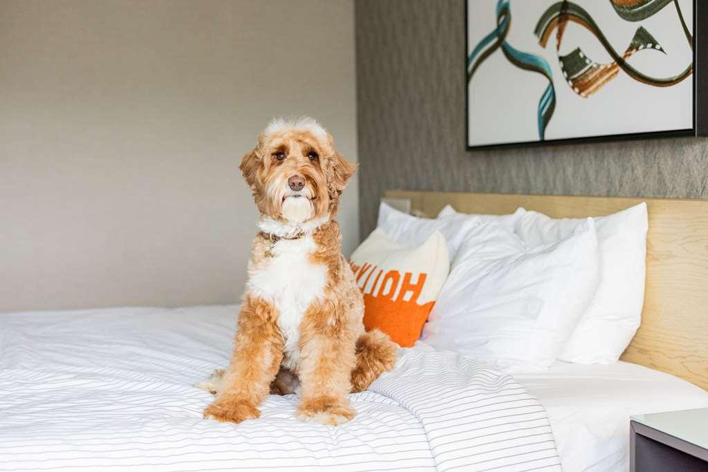 Cambria Hotel Burbank Airport Bilik gambar
